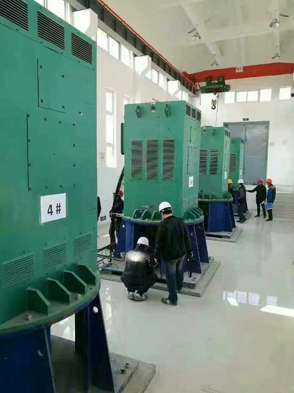 Y630-8某污水处理厂使用我厂的立式高压电机安装现场