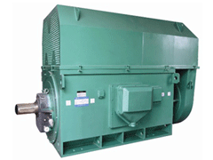 Y630-8Y系列6KV高压电机